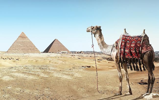 Отдых в Египте