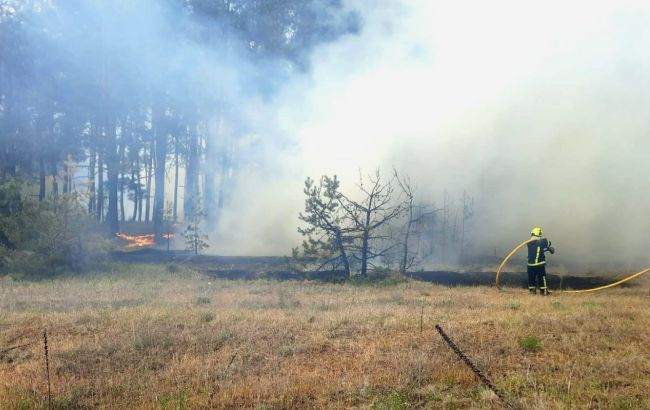 В Харьковской области масштабный пожар: детонируют боеприпасы, готовится эвакуация