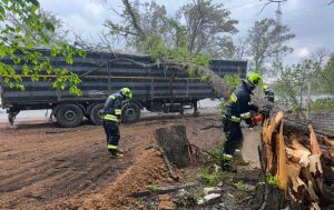 Зірвані дахи, повалені дерева та загиблі: що відомо про наслідки негоди в Україні