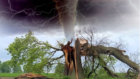 Катастрофа в Западной Украине: в сети показали последствия стихийного бедствия