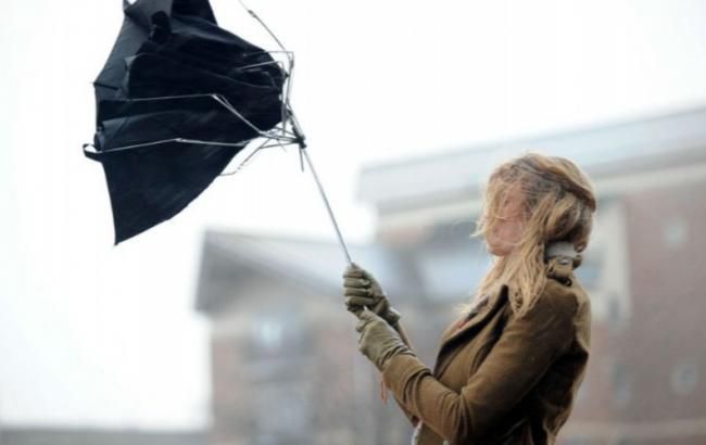 Синоптики предупреждают о сильных порывах ветра в Киеве
