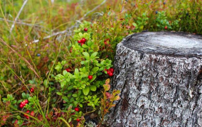 5 сентября: какой праздник и что нельзя делать
