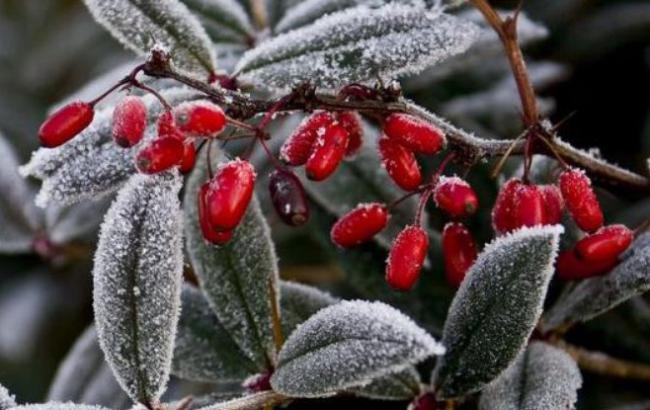 Синоптики попереджають про погіршення погодних умов в Україні
