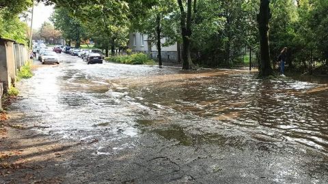 Поваленные деревья и подтопленные улицы: Львов накрыли гроза и сильный ветер