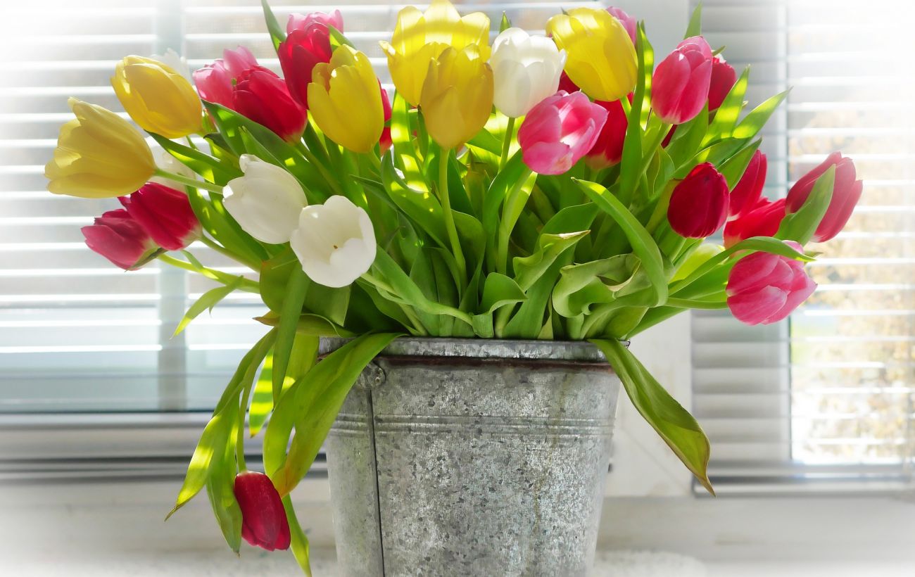 Як зберегти квіти свіжими після 8 березня