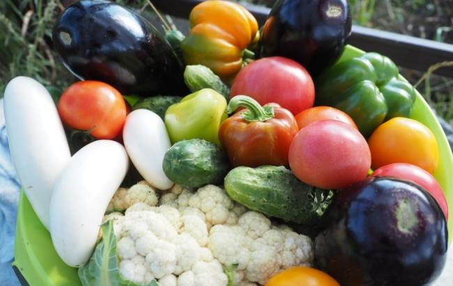 В Житомирской области у родителей-вегетарианцев отобрали детей