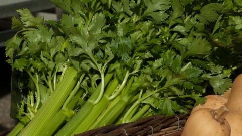 Улучшает потенцию: полезные и опасные свойства сельдерея