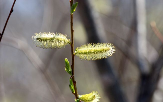 В Україну йде сильне потепління: де буде +10 вже зовсім скоро