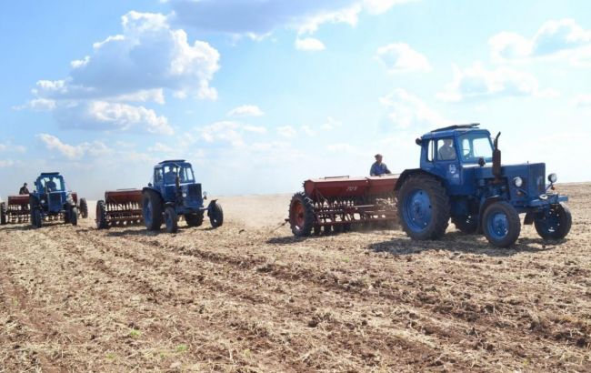 В Україні очікується врожай зернових на рівні 65% минулорічного, - експерт