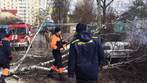 Непогода оставила без света жителей 13 районов Черниговской области