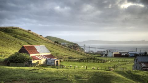 "Заполнены все отели": малоизвестная локация резко стала популярной во время карантина