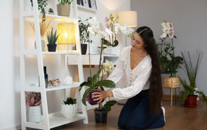 Чому тримати вдома штучні квіти - погана ідея: народні прикмети та езотерика