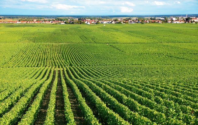 Более 5 млн гектаров сельхозземель в частной собственности, - Госгеокадастр