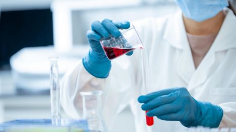 В Нидерландах подтвердили шесть случаев оспы обезьян