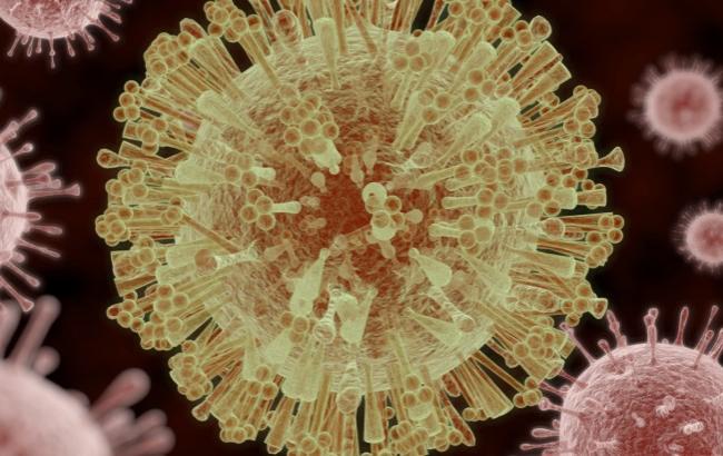 Минздрав предупредил о переносчиках вируса Зика в Украине