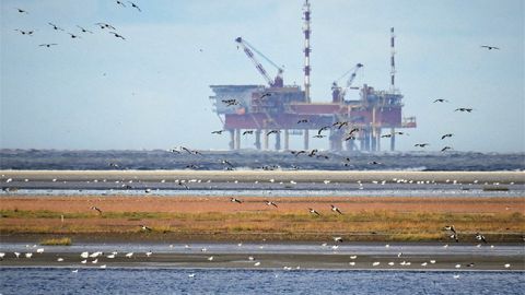 Цены на нефть стабилизировались после падения в начале недели