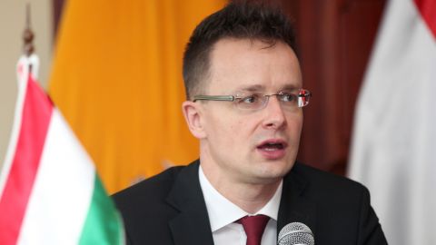 Сійярто про Берегівський район: це спільний інтерес України і Угорщини