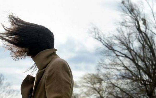 Синоптики предупреждают о сильных порывах ветра в западной Украине