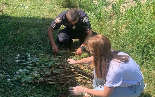 За мак на городі – штраф? Що можна вирощувати в Україні та на чому "ловлять" пенсіонерів