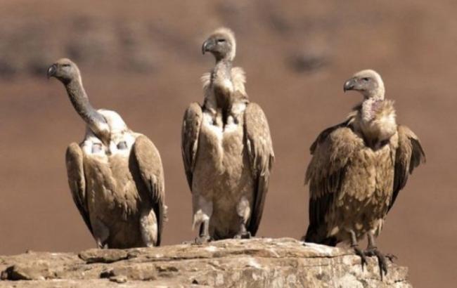 Гороскоп на сегодня, 1 ноября