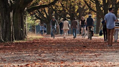 Сильные туманы: синоптики сообщили, когда в Украине закончится теплая осень