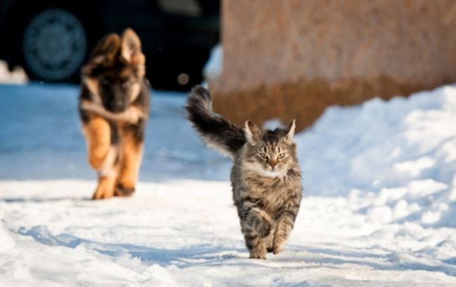 Погода на завтра: на большей части Украины без осадков, температура до +5