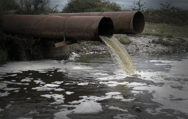 Врятувати планету: українці очищують воду з допомогою мікробів