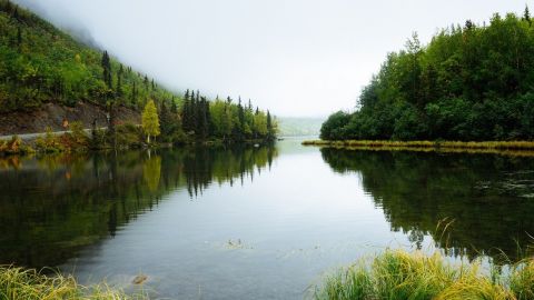 Під Львовом асенізаційна машина Укрзалізниці зливала нечистоти в річку