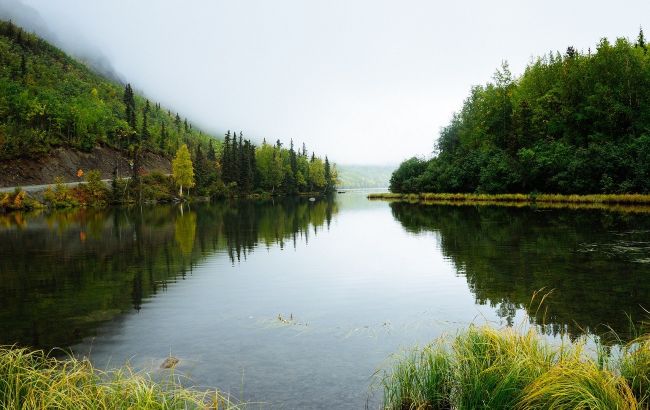 Під Львовом асенізаційна машина Укрзалізниці зливала нечистоти в річку