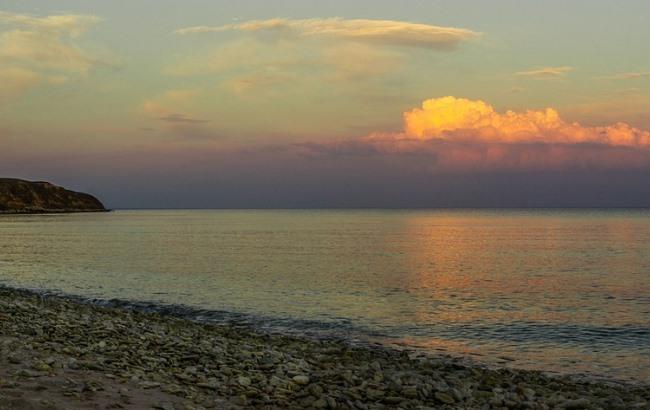 "Водорості нікому не завадять": в мережі показали пляжі Євпаторії (фото)