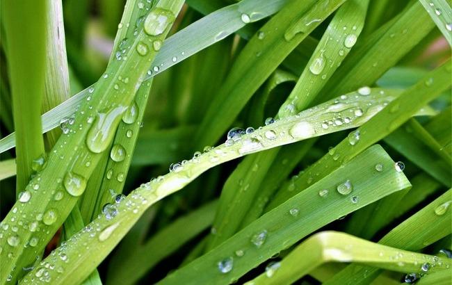 Похолодає і накриє дощами: синоптики дали прогноз погоди на вівторок