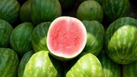 В Україні виявили велику партію небезпечних кавунів і динь: що відомо