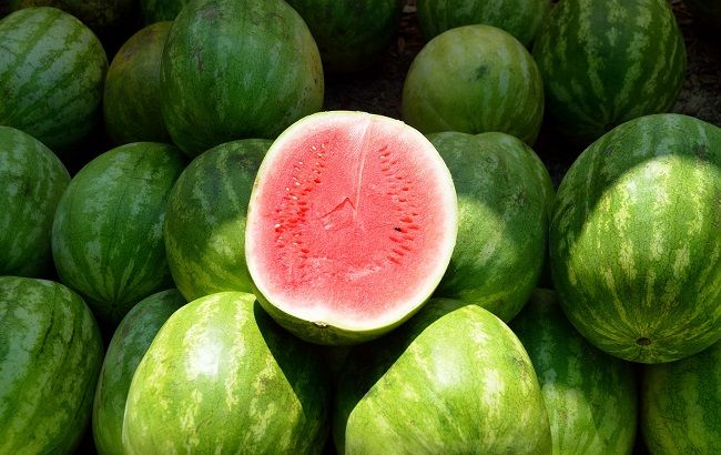 В Украине обнаружили крупную партию опасных арбузов и дынь: что известно