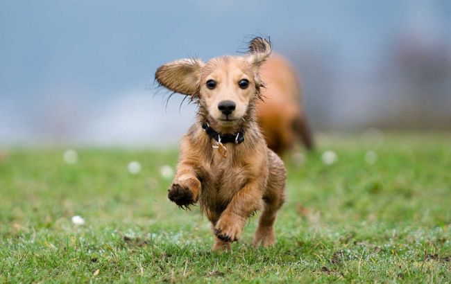 Погода на завтра: на большей части Украины дожди, температура до +15