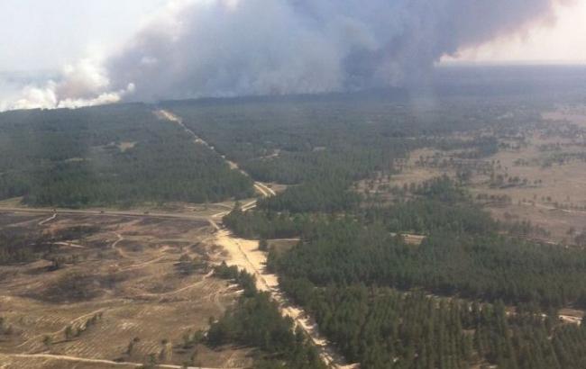 У Херсонській області площа лісової пожежі зросла з 20 до 100 га