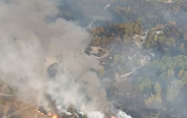 В Чернігівській області триває ліквідація пожежі на військовому полігоні