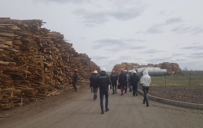 В Киевской области полиция расследует возможное сжигание радиоактивной древесины