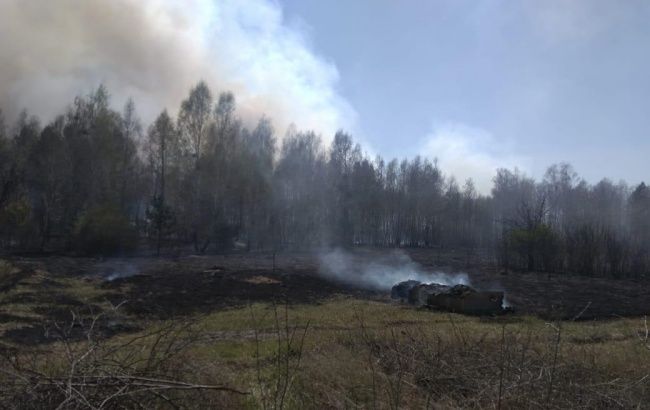 В Киевской области установили виновника лесного пожара