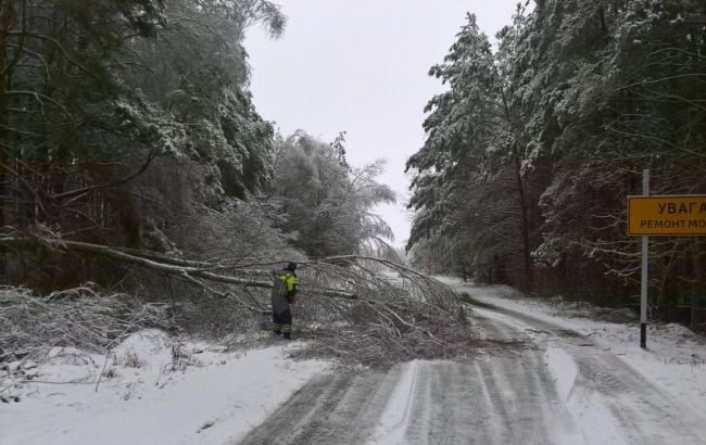 В Черниговской области непогода повалила на дороги более чем 200 деревьев