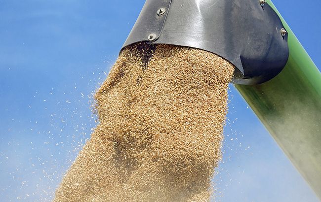 В Україні зросли обсяги аграрного експорту