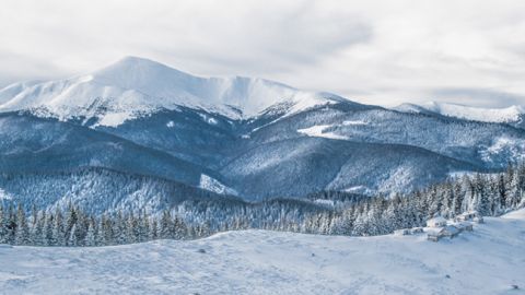 В Карпатах заметили горного "призрака": яркое фото