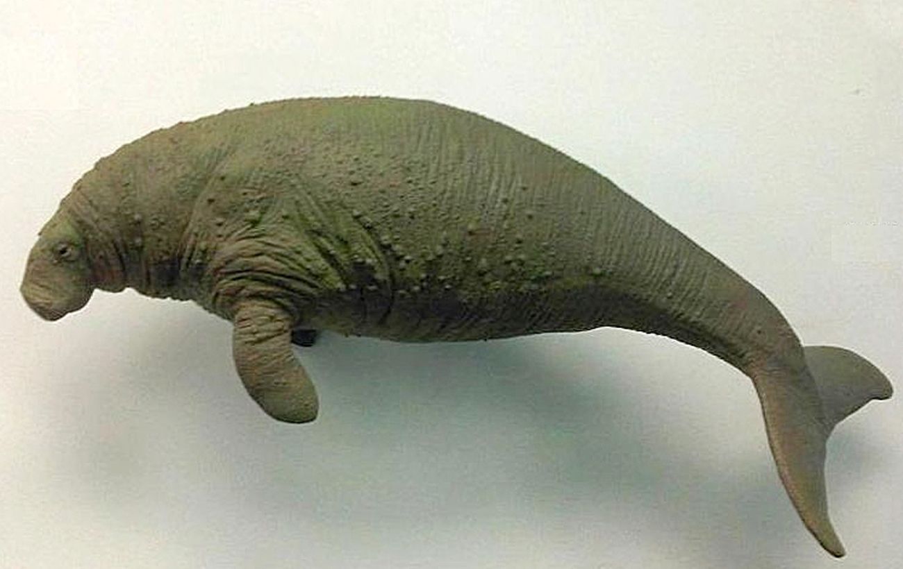 Трагічна історія морського гіганта: від відкриття до знищення пройшло всього 27 років