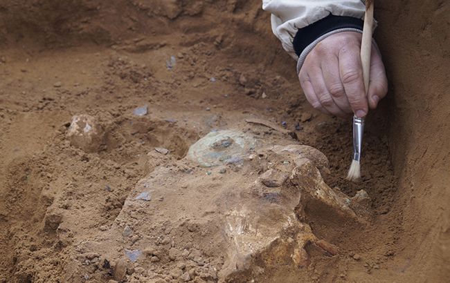 Під Рівним археологи виявили страшну знахідку: з'явилися фото
