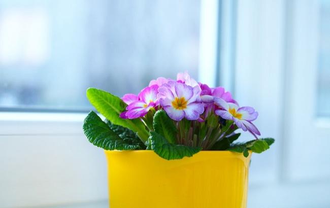 18 березня: важливі події в історії