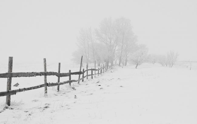 Західну Україну засипало снігом