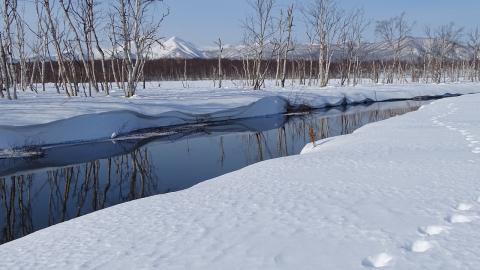 "Морозы будут главными": синоптик дала прогноз на 27 февраля