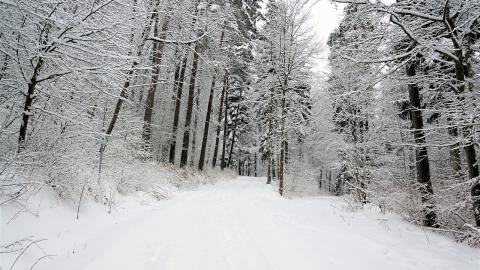 Під Харковом 12-річна дівчинка провела більше години під тонною снігу