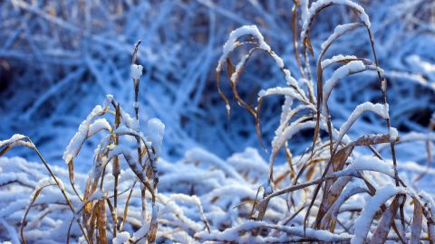 Украину засыпает первым снегом: невероятные фото зимней сказки