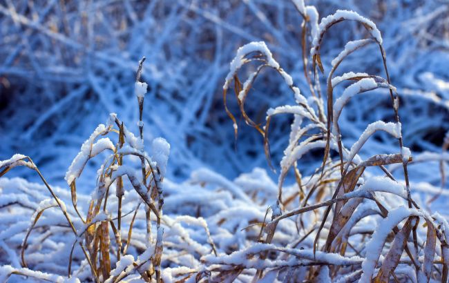 Украину засыпает первым снегом: невероятные фото зимней сказки