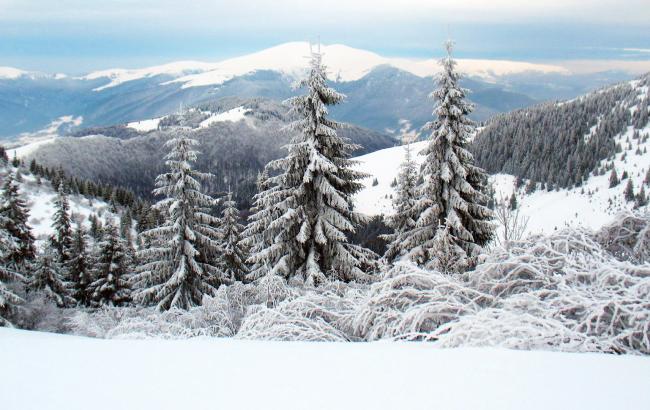 Синоптики предупреждают о значительной лавинной опасности на Закарпатье 21-22 февраля